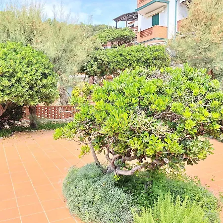 Nel Mare Castiglioncello